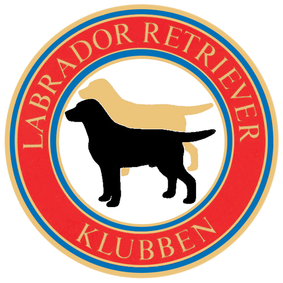 Labradorklubben - Officiella rasklubben för Labrador Retriever